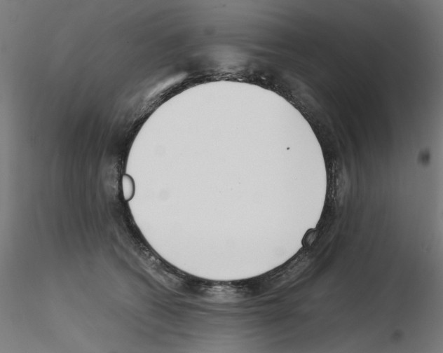 X0000115540562200912181532
