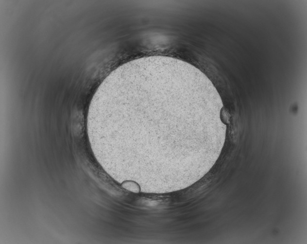X0000115540563200912181532