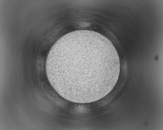 X0000115540565200912181532
