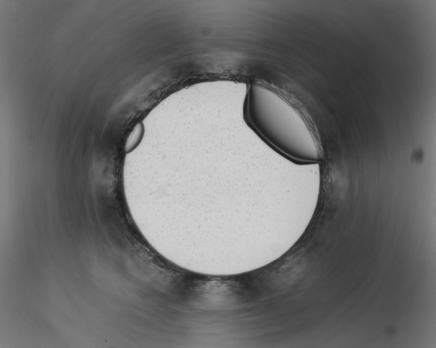 X0000115540566200912181532