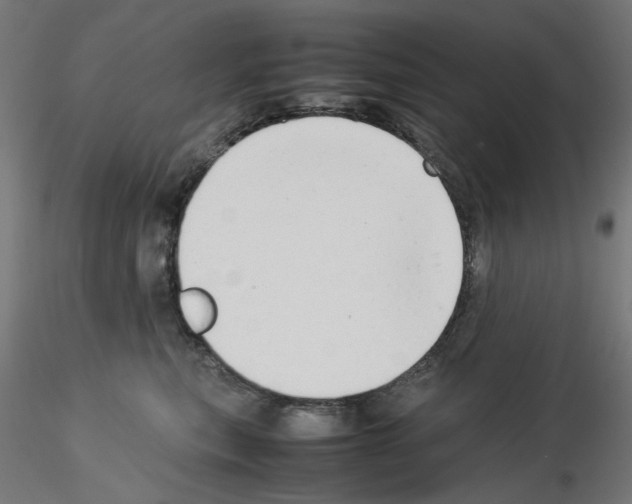 X0000115540567200912181532