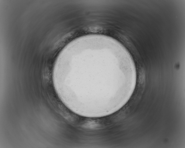 X0000115540569200912181532