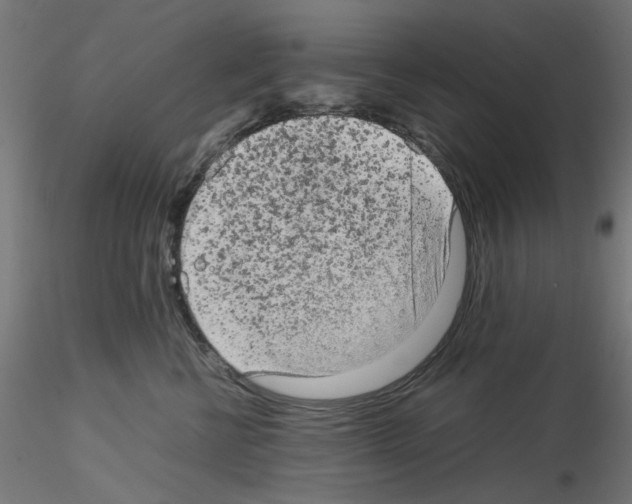X0000115540570200912181532