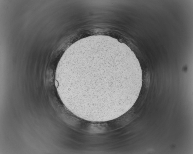 X0000115540571200912181532