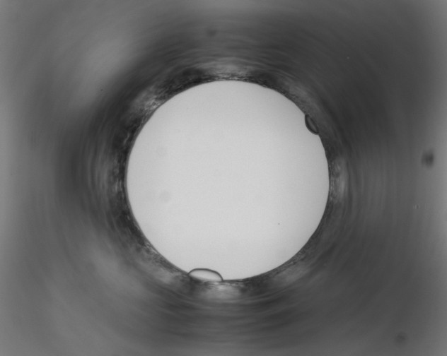 X0000115540573200912181532