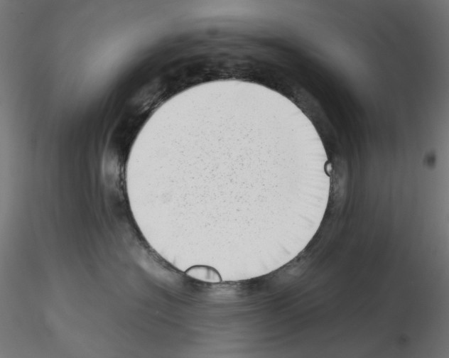 X0000115540574200912181532