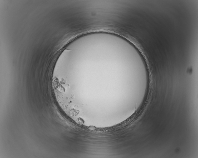 X0000115540577200912181531