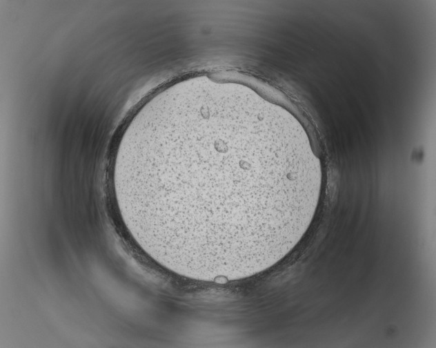X0000115540578200912181531
