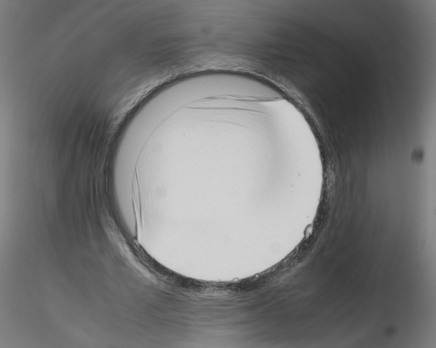 X0000115540581200912181531