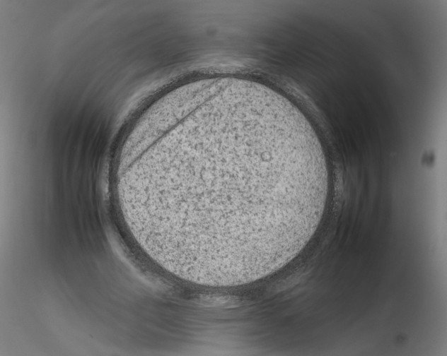 X0000115540582200912181531