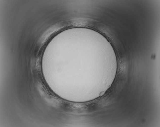 X0000115540583200912181531