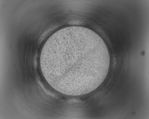 X0000115540586200912181531