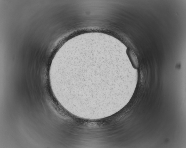 X0000115540588200912181531