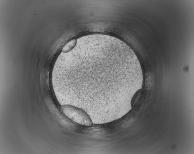X0000115540589200912181531