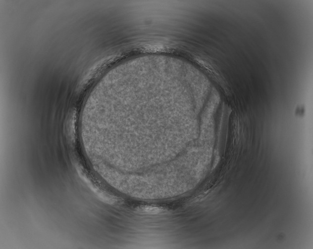 X0000115540590200912181531