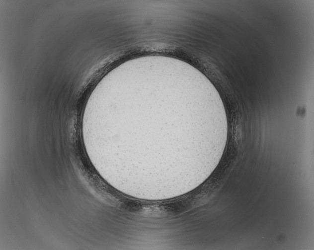 X0000115540591200912181531