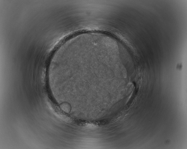 X0000115540592200912181531