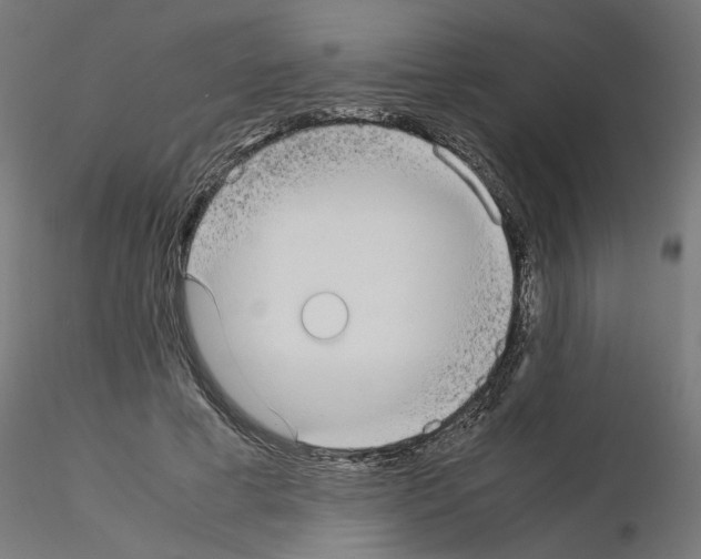 X0000115540593200912181531
