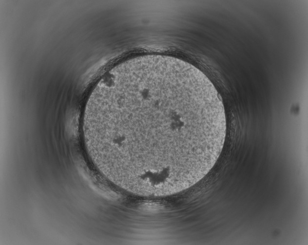 X0000115540596200912181531