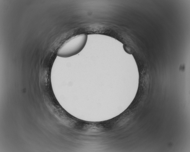 X0000115540597200912181531