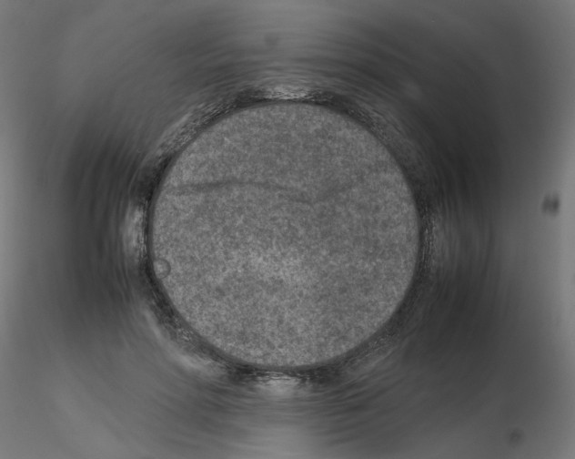 X0000115540598200912181531