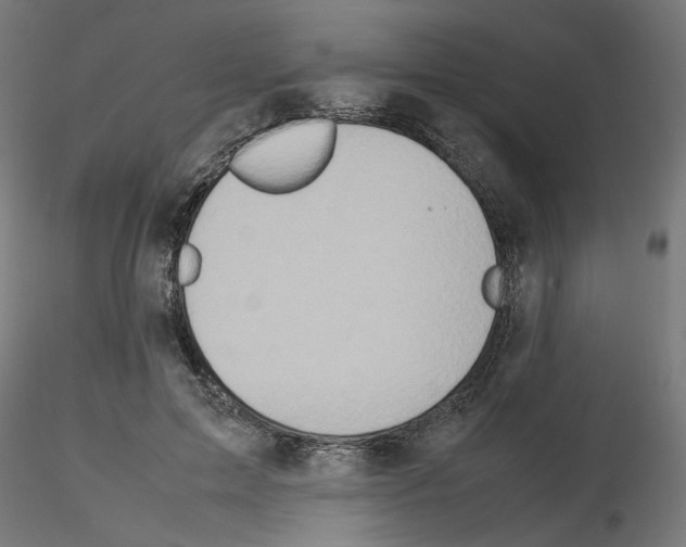 X0000115540599200912181531