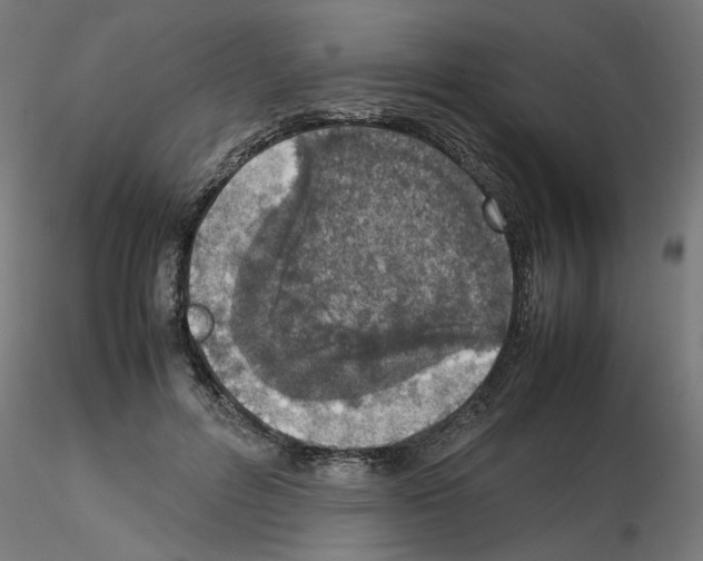 X0000115540600200912181531