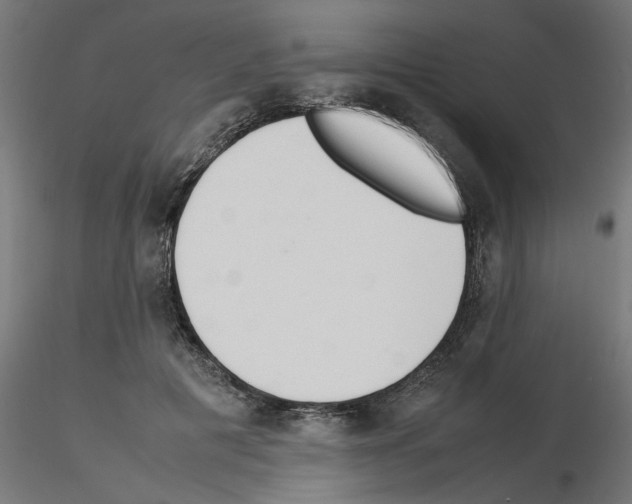 X0000115540601200912181531
