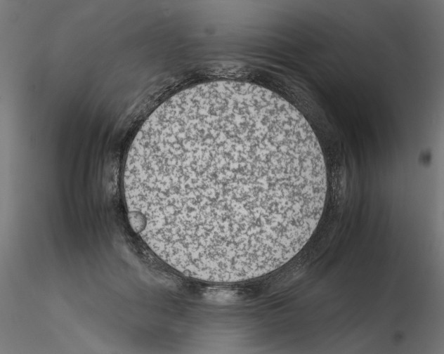 X0000115540602200912181531