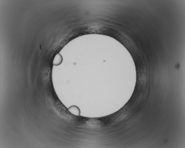 X0000115540603200912181531