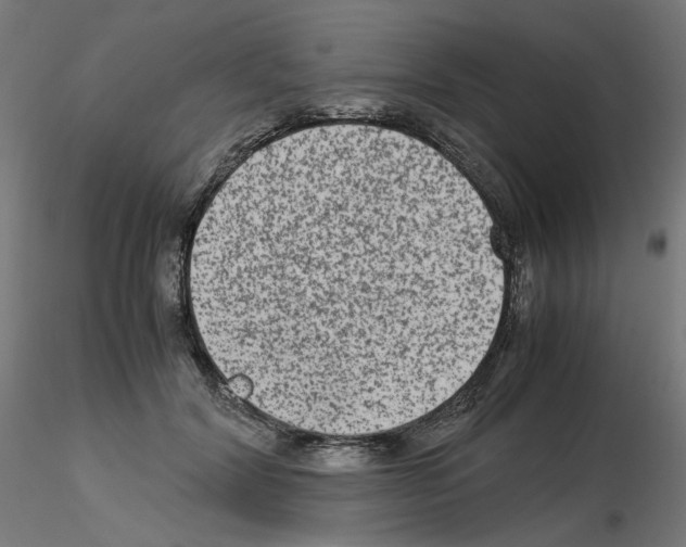 X0000115540604200912181531