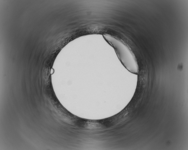 X0000115540605200912181531