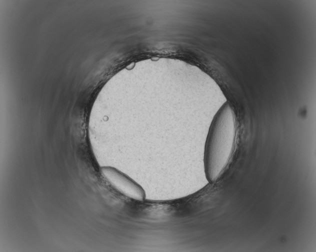 X0000115540609200912181530