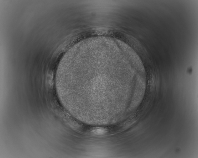 X0000115540610200912181530