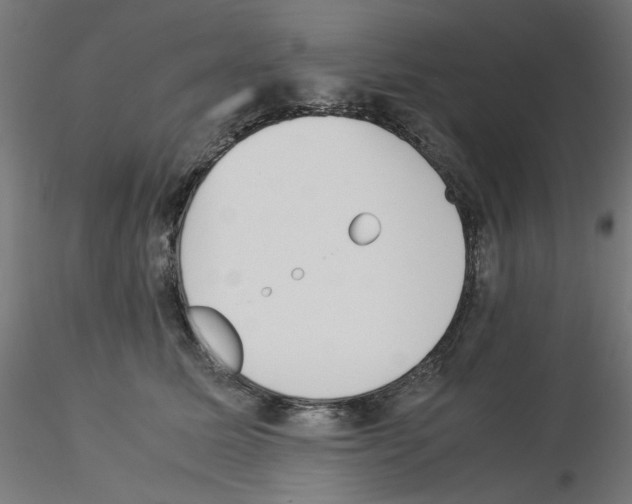 X0000115540611200912181530