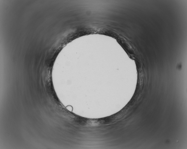 X0000115540613200912181530