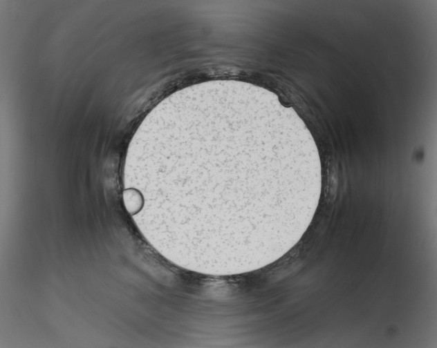 X0000115540616200912181530