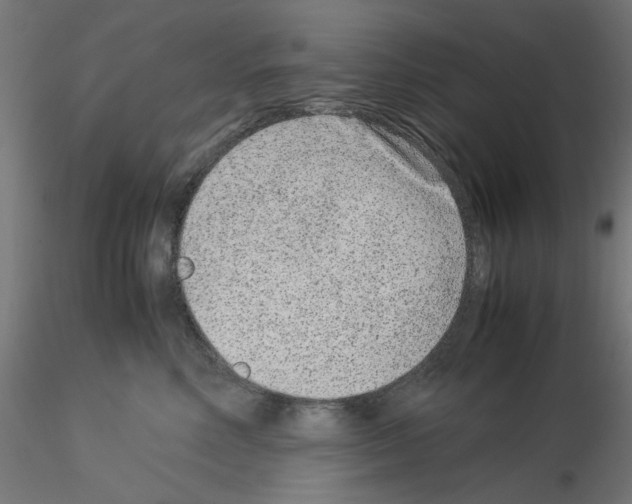 X0000115540618200912181530