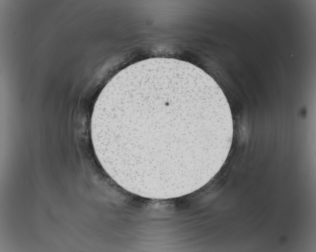 X0000115540619200912181530