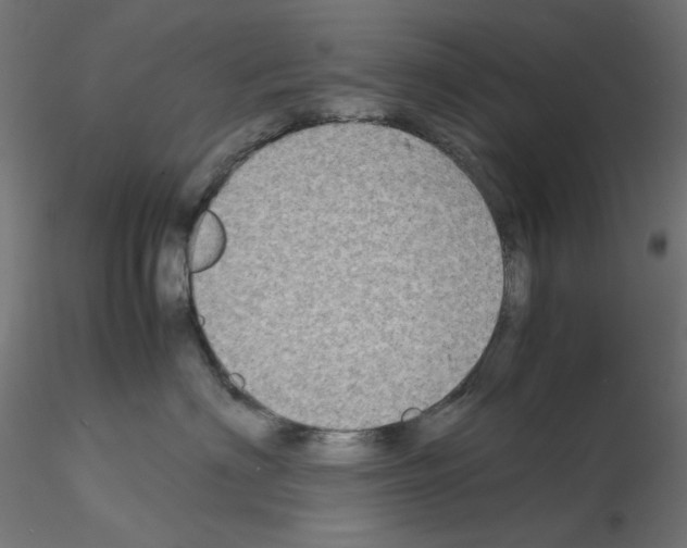 X0000115540622200912181530