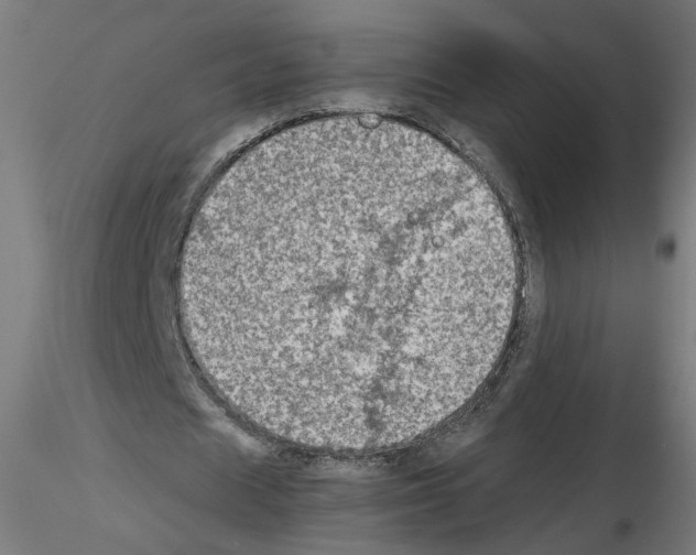 X0000115540625200912181530