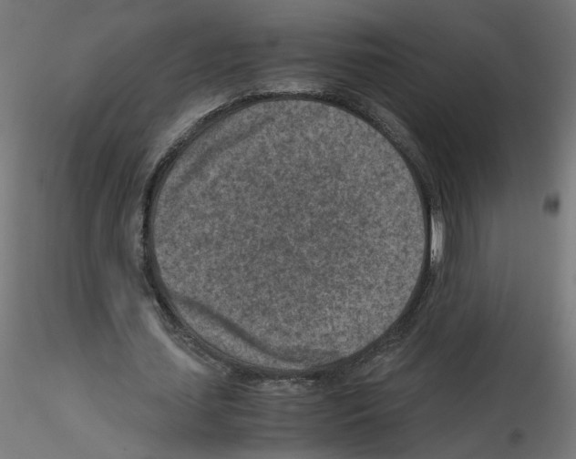 X0000115540627200912181530