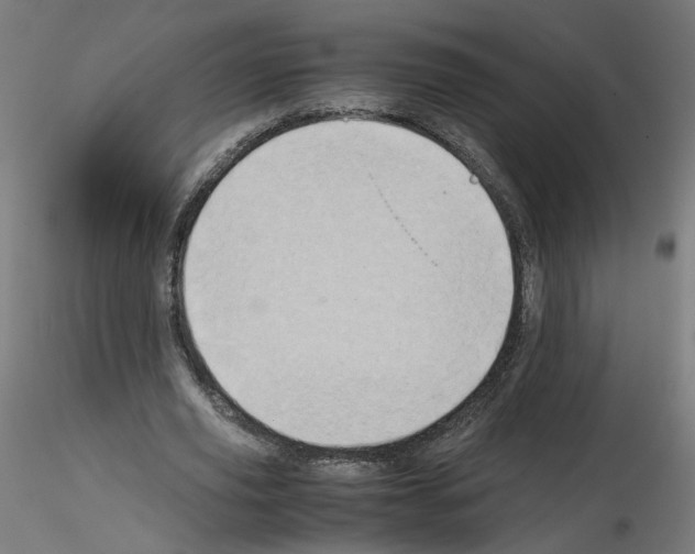 X0000115540629200912181530