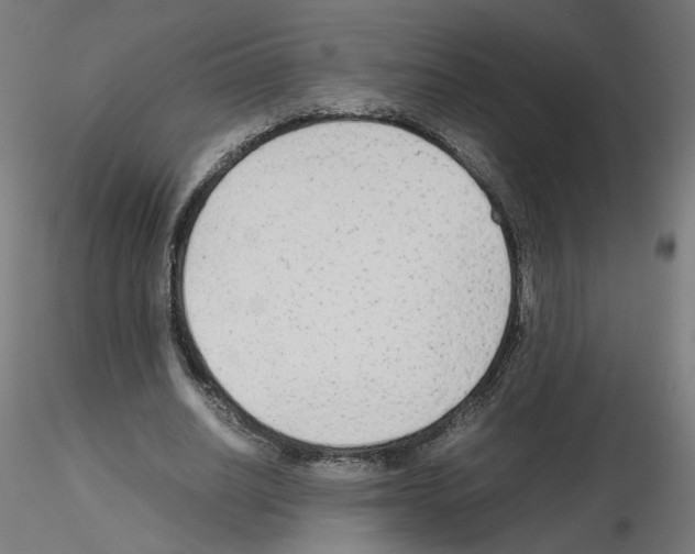 X0000115540630200912181530