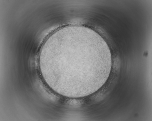 X0000115540632200912181530