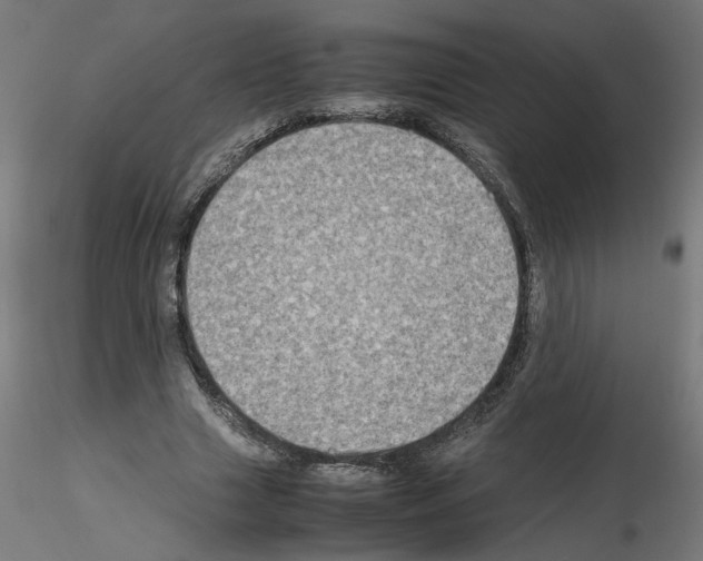 X0000115540633200912181530