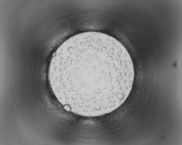 X0000115540635200912181530