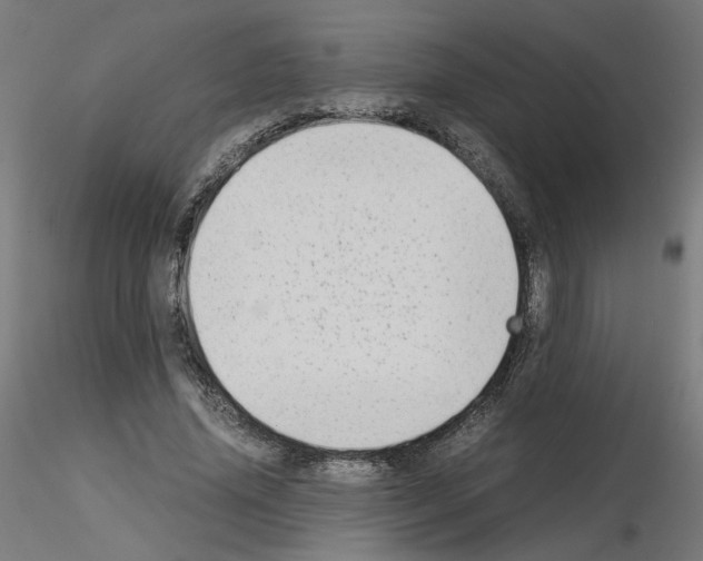 X0000115540636200912181530