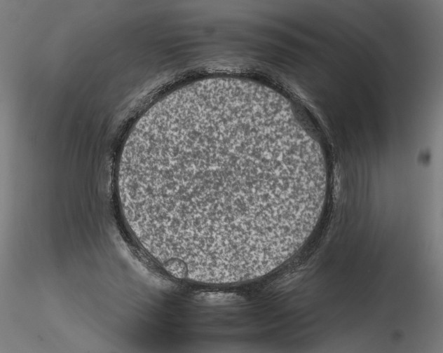X0000115540637200912181530
