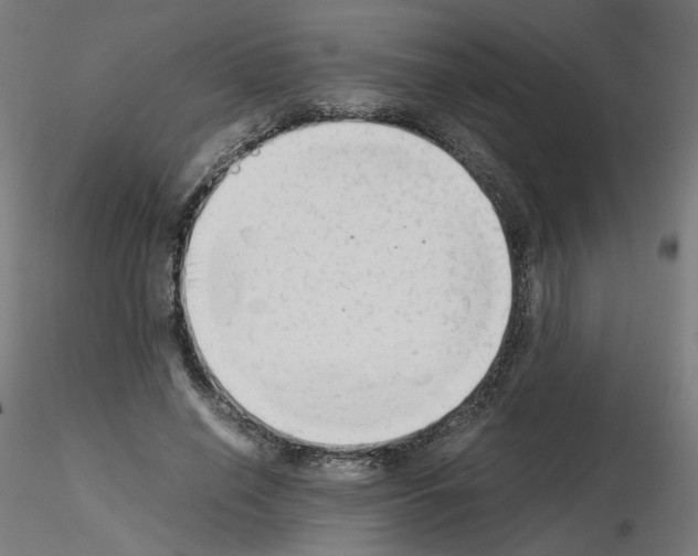 X0000115540638200912181530